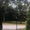 colleenmxray